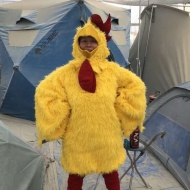 chickenlittle